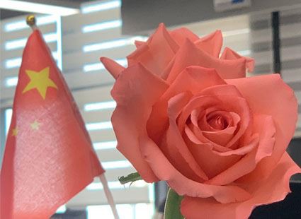 יום האישה ה-8 במרץ שמח